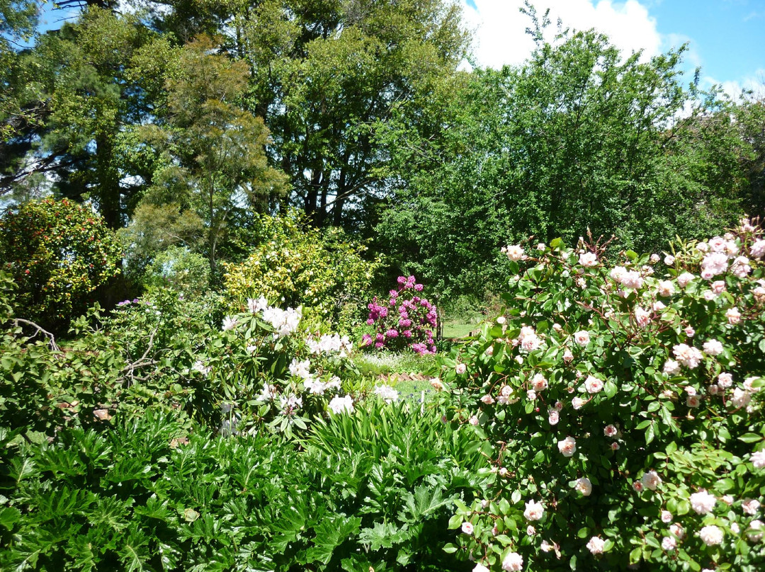 菲兹帕奇科酒店主图