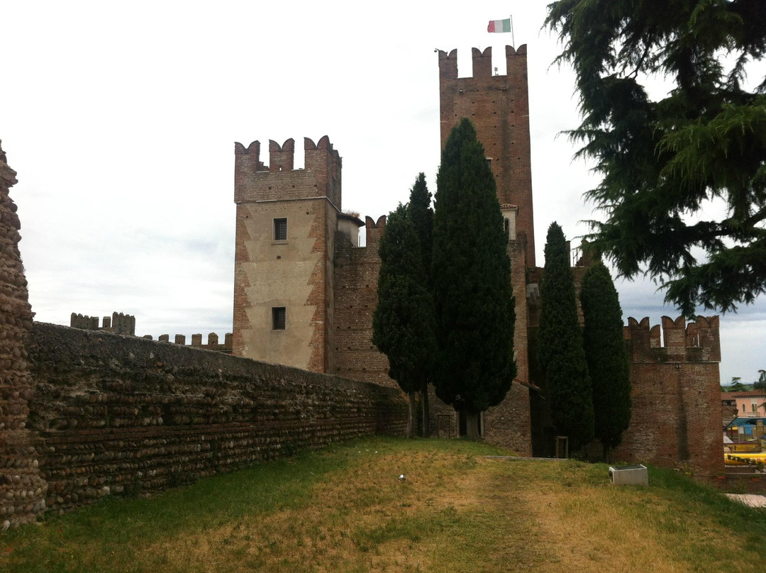 Castello Scaligero di Villafranca景点图片