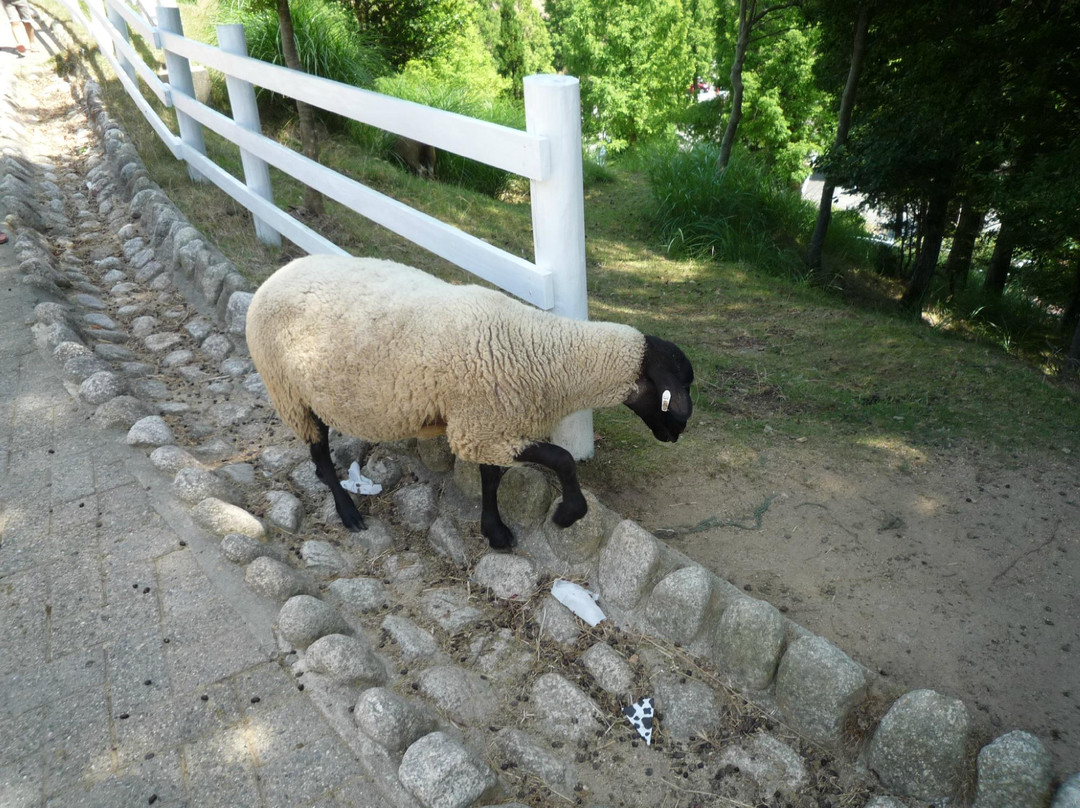 Rokkosan Farm-神户市必去景点