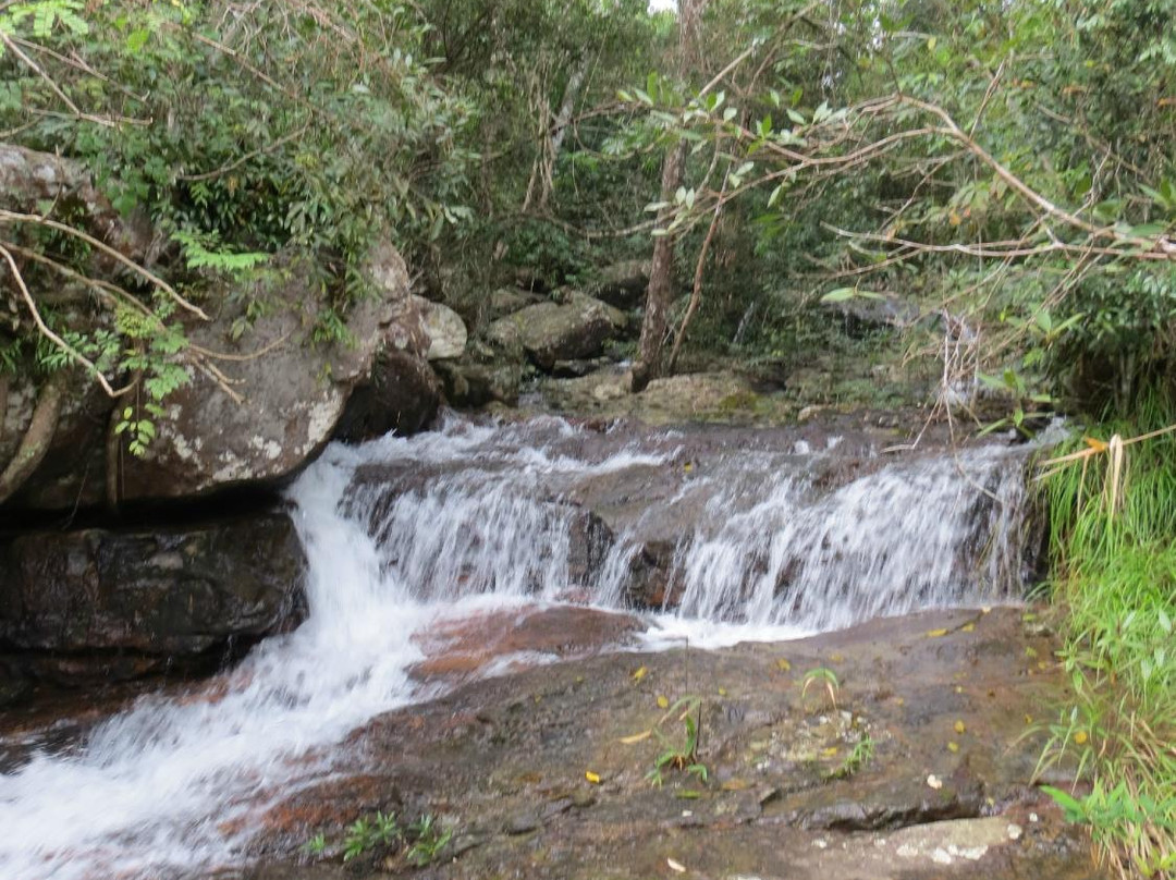 Phu Ruea High Altitude Agricultural Research Station景点图片
