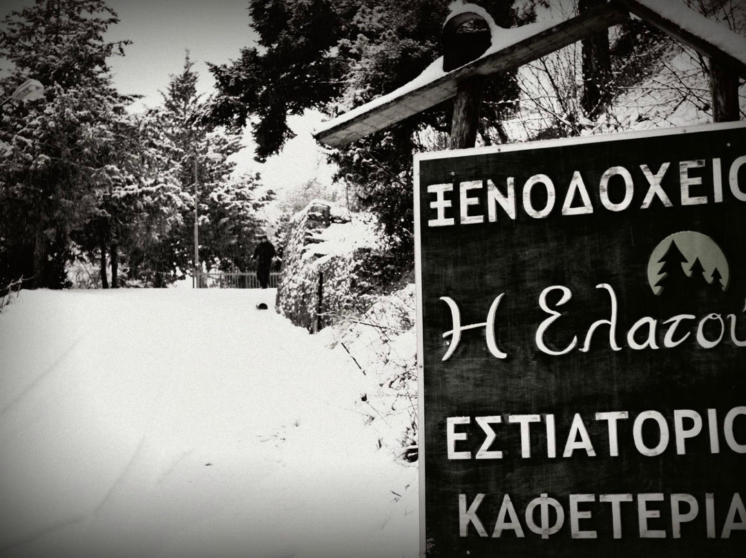 Elatou主图