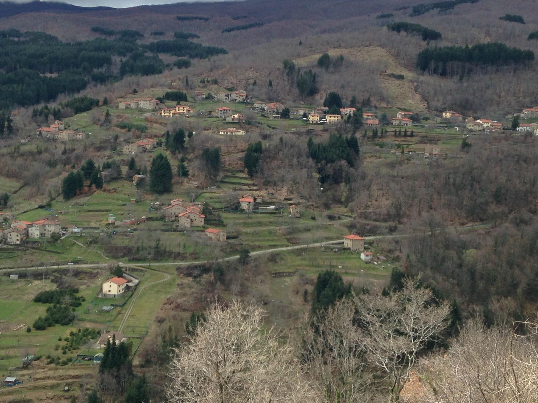 Montemignaio旅游攻略图片