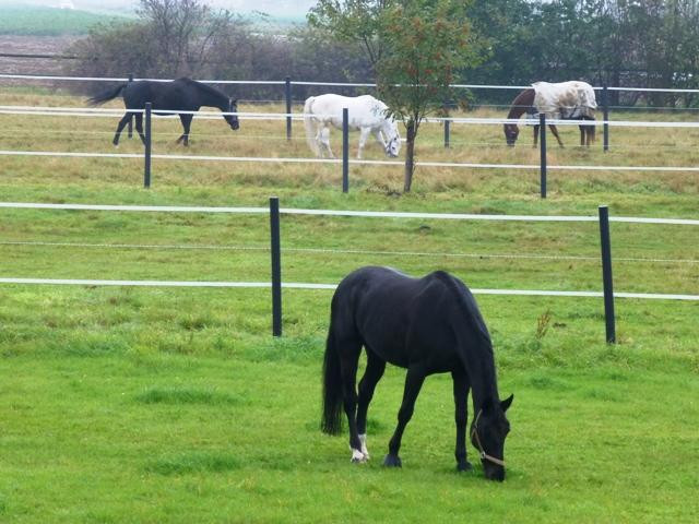 Hotel Zur Wasserburg主图