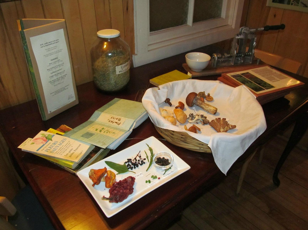 Saint-Alexis餐馆和美食-La Table des Jardins Sauvages