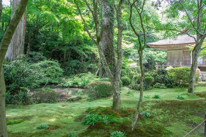 三千院-京都市必去景点
