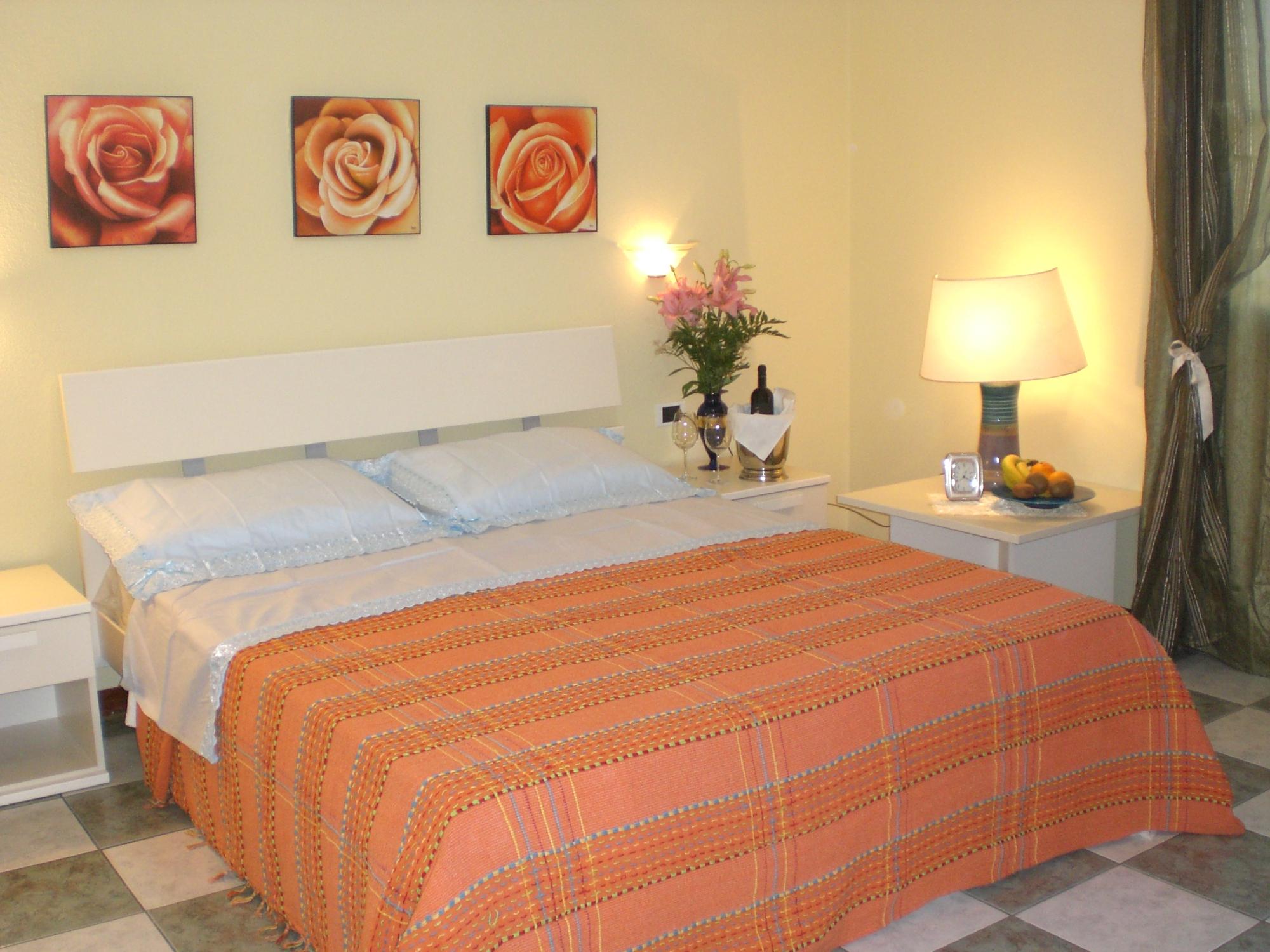 B&B Meta Mito-官方