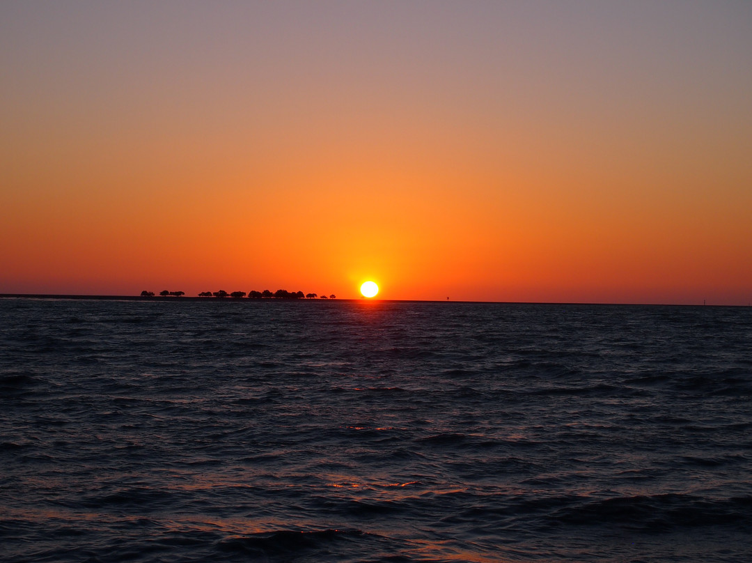 The Ferryman River Cruises-Karumba必去景点