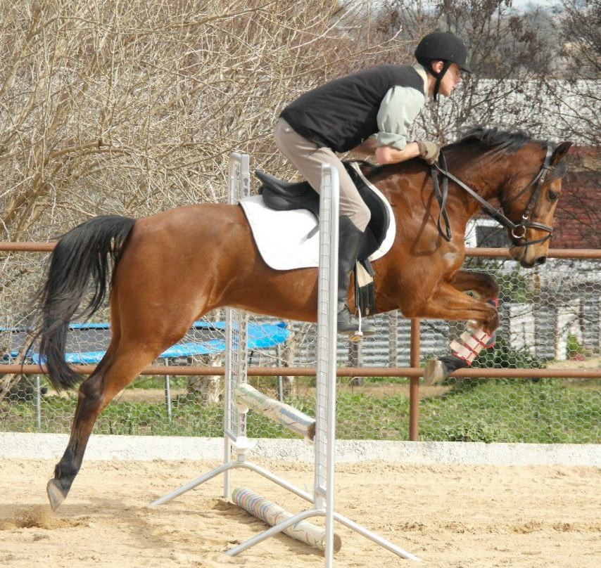 Belisi Equine Park-沃加沃加必去景点
