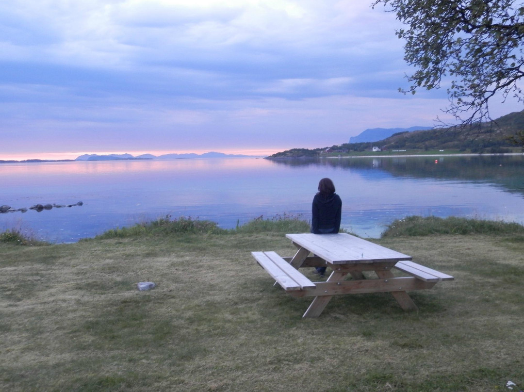 Tjeldsundbrua Camping