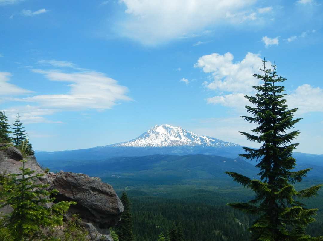 Sea to Summit Tours & Adventures-波特兰必去景点