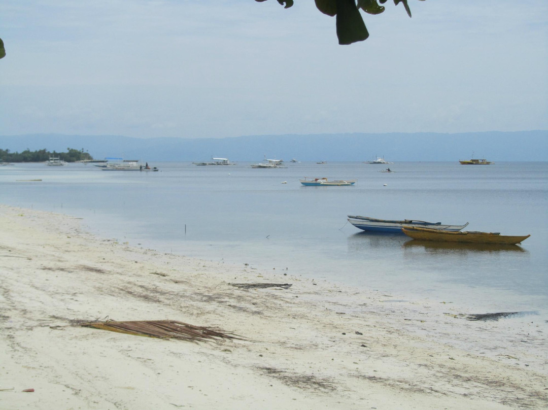 VAA酒馆酒店主图