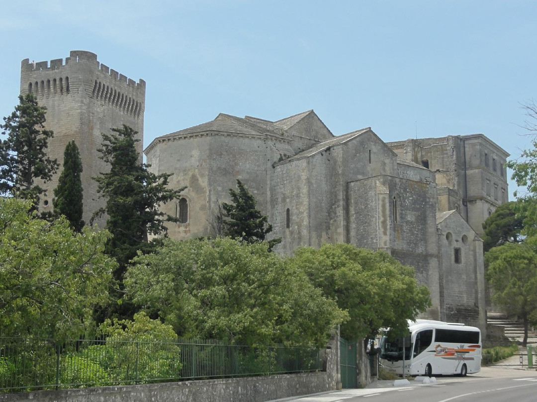 Abbaye de Montmajour-阿尔勒必去景点