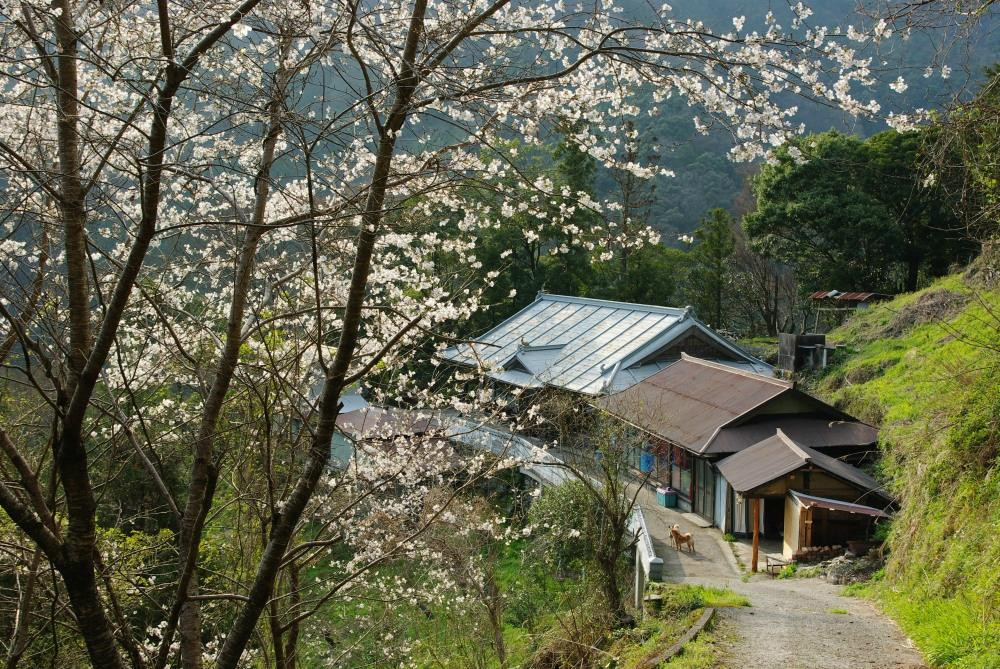 Happy Raft-大豊町必去景点