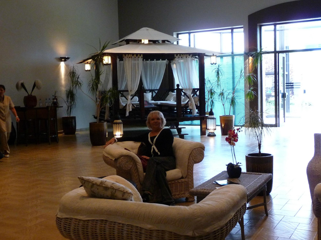 Thermes des Dômes景点图片