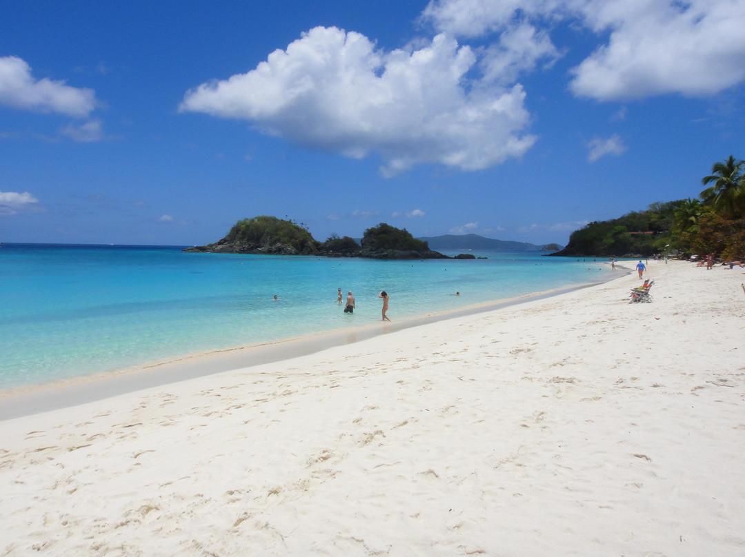 象鼻湾-维尔京群岛国家公园必去景点