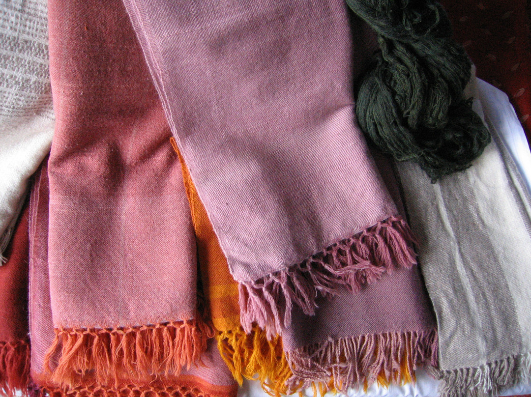 Himalayan Weavers-Dehradun District必去景点