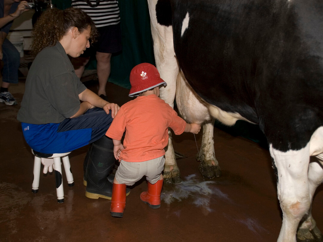 Eagle Acres Dairy-Fort Langley必去景点