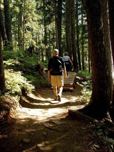 Salsbury House B&B主图