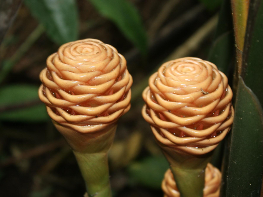 Tours Papagayo JC-Gulf of Papagayo必去景点