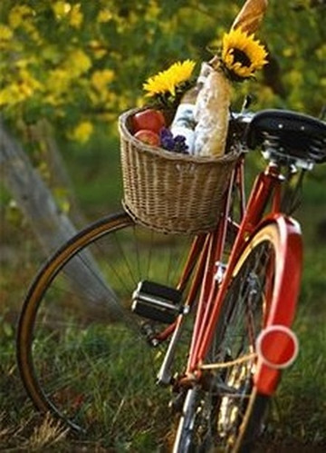 Grapemobile Bicycle Hire & Tours-波高尔宾必去景点