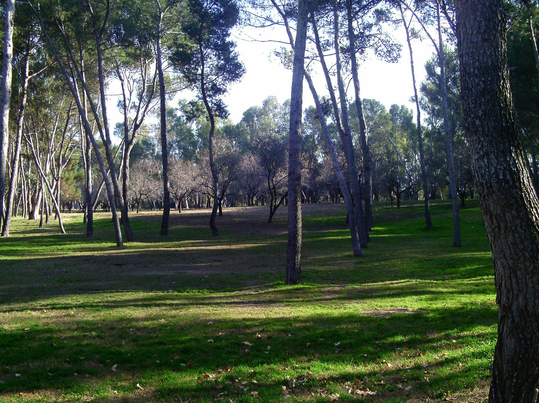 Parque La Quinta de los Molinos-马德里必去景点