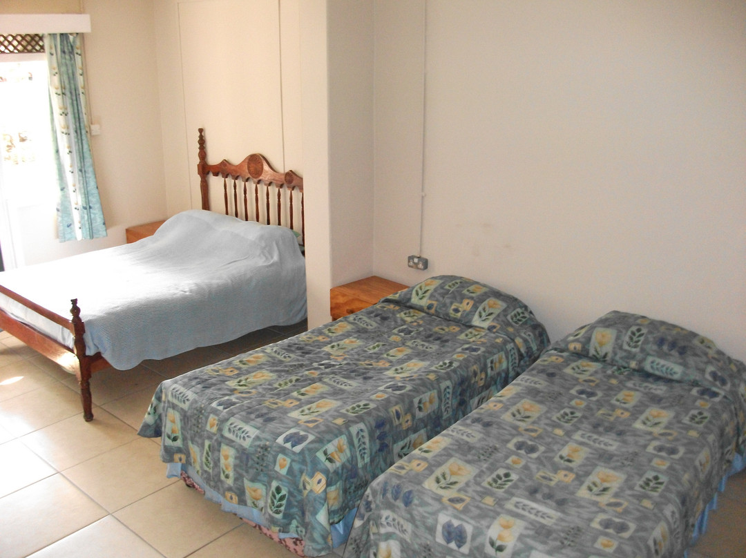The Homestead Guesthouse主图