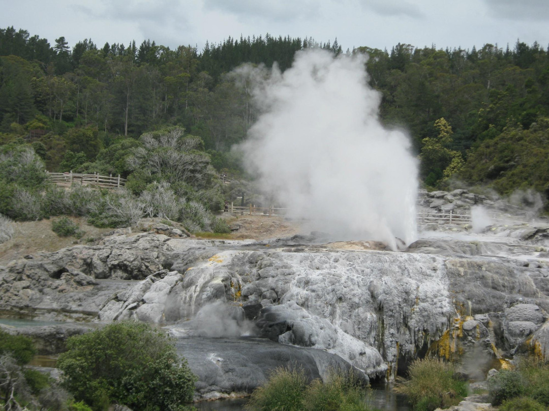 Archer Tours-汉密尔顿必去景点