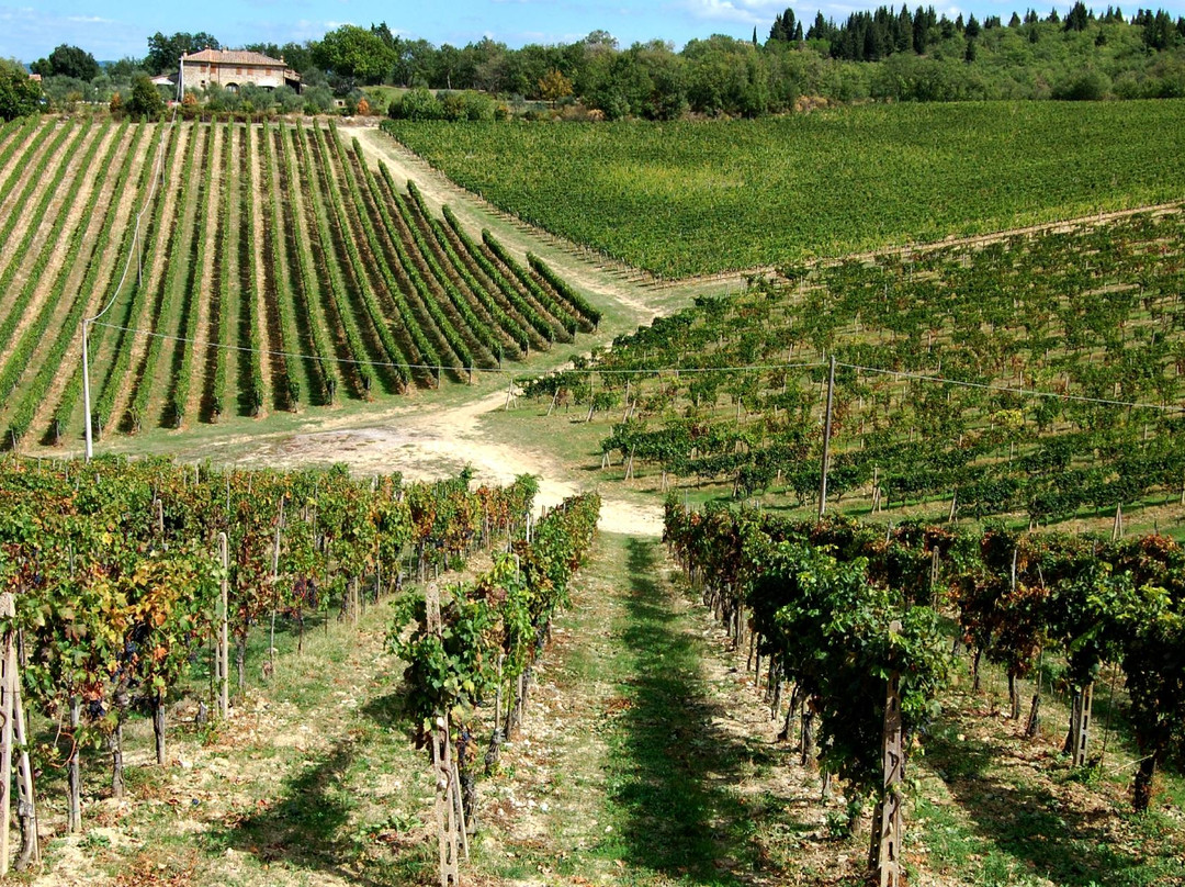 Tuscany Car Tours-佛罗伦萨必去景点