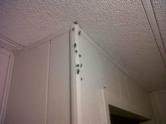 Prairie Oasis Tourist Complex