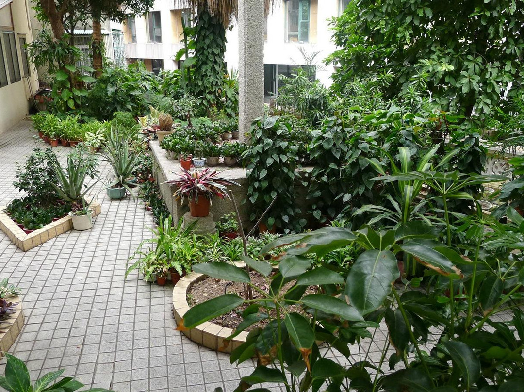 风顺堂-澳门必去景点