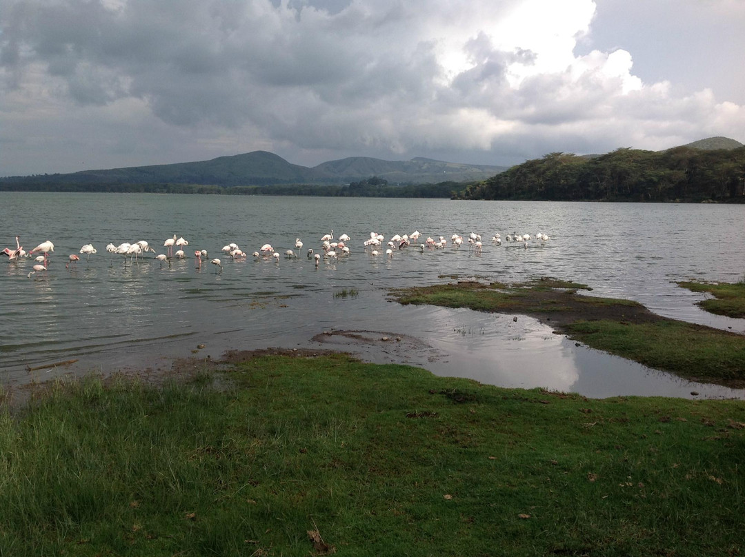 Lake Oloidien-奈瓦夏必去景点