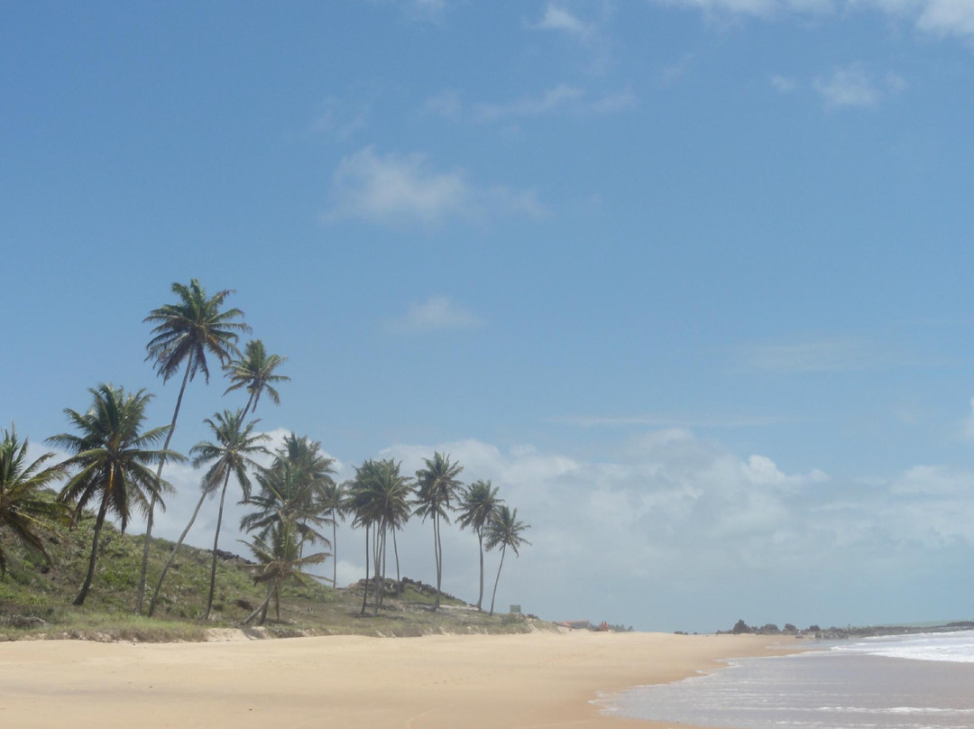 Praia do Coqueirinho-Conde必去景点