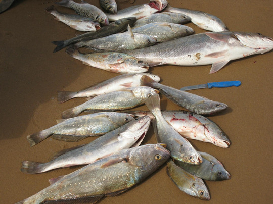 Akhfenir酒店住宿-La Courbine d'Argent