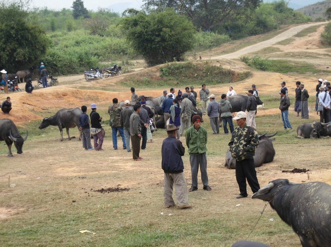 Water Buffalo Market-Kengtung必去景点