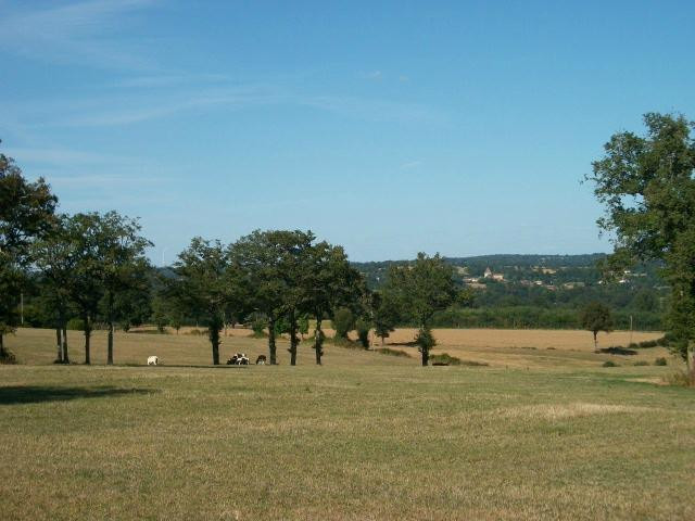 Maison des Lavandes主图