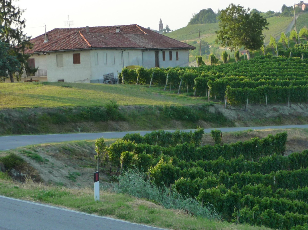 Azienda Agricola Brangero景点图片