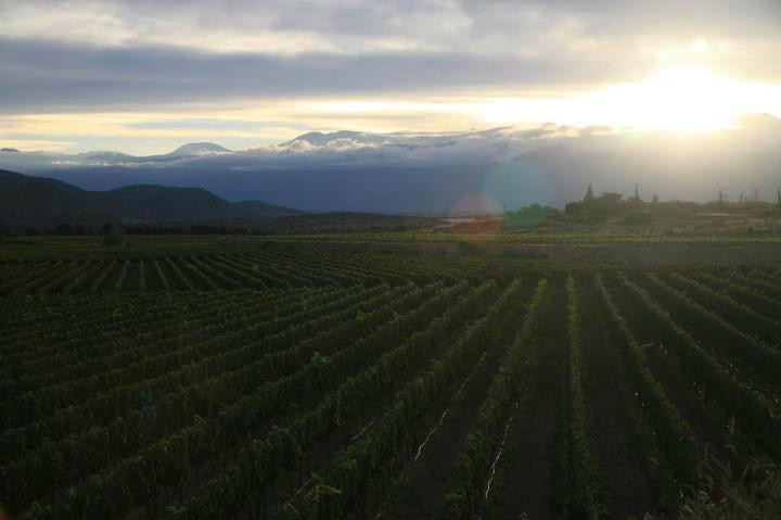 Casa Real-塔里哈必去景点