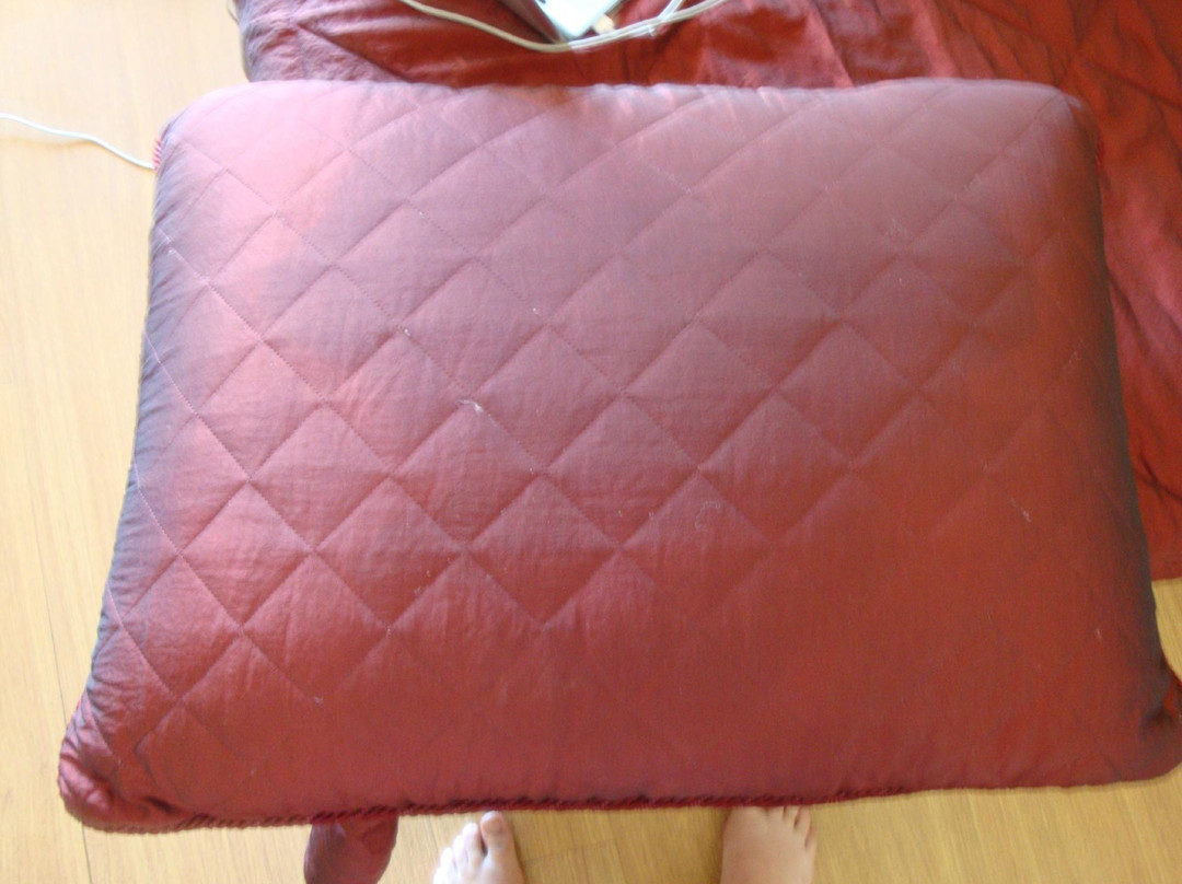 Solar Dos Canavarros主图