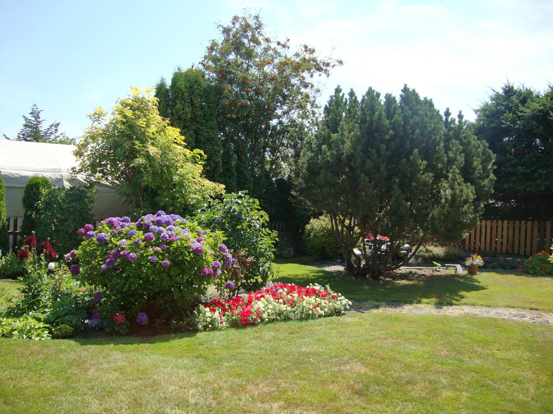 Fraserhouse Bed & Breakfast主图