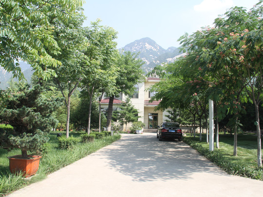 华山莲花山庄主图