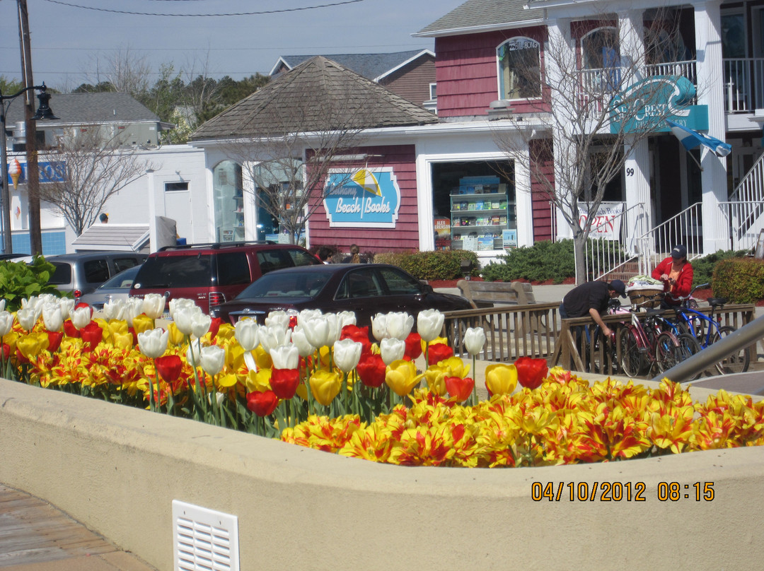 Bethany Beach-Bethany Beach必去景点