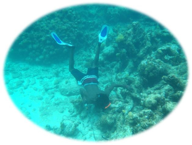 Provo Real Deal Day Tours-Turtle Cove必去景点