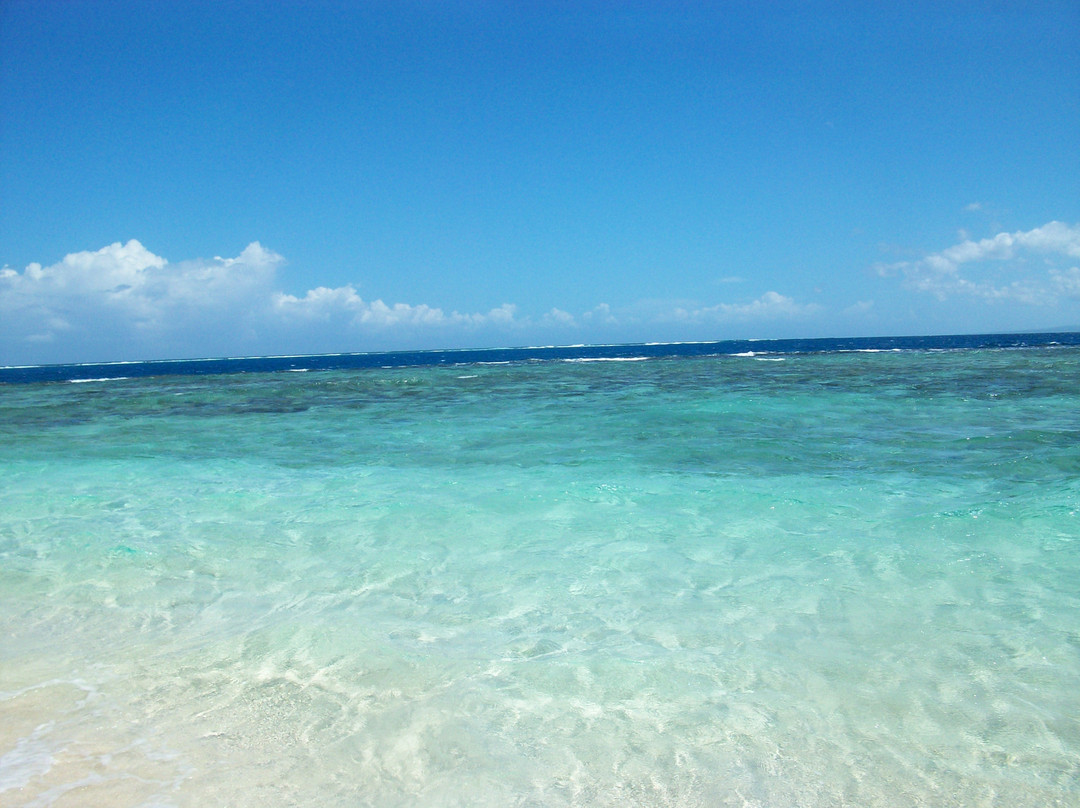 Paradise Island & The Mangroves (Cayo Arena)-Punta Rucia必去景点