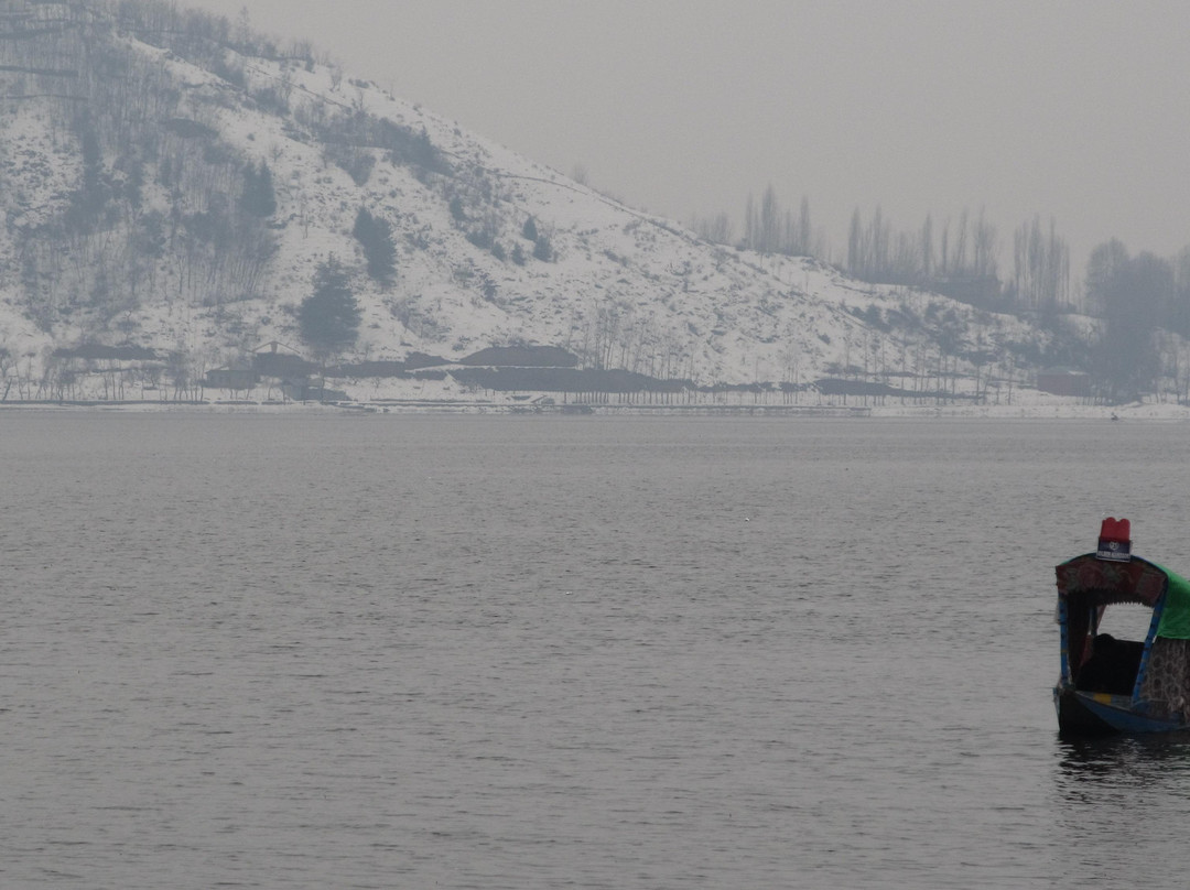 Manasbal Lake景点图片