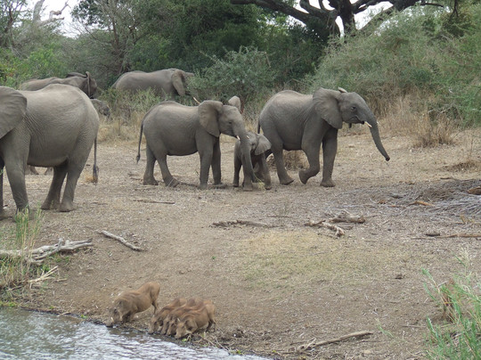 Legadema Safaris - Day Tour-玛洛斯帕克必去景点