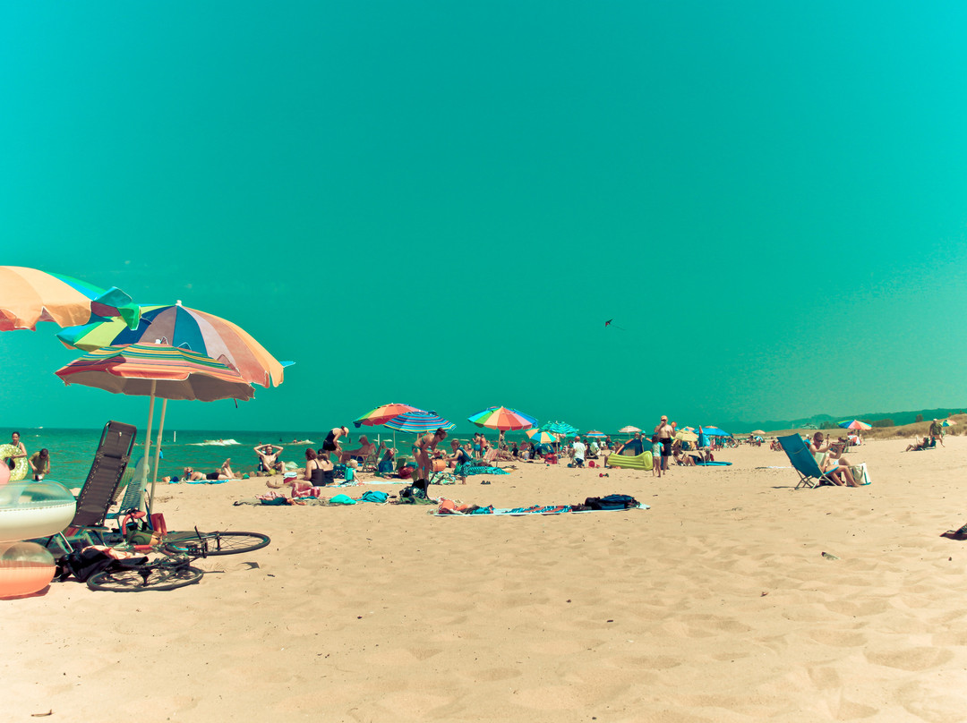 Oval Beach-索格塔克必去景点