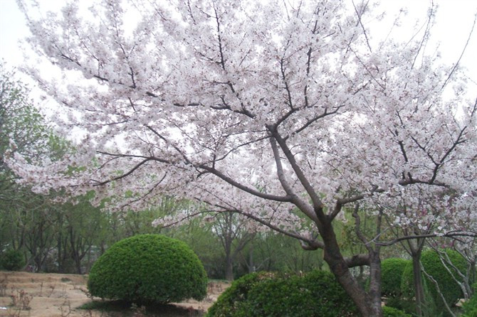 泉城公园-济南市必去景点