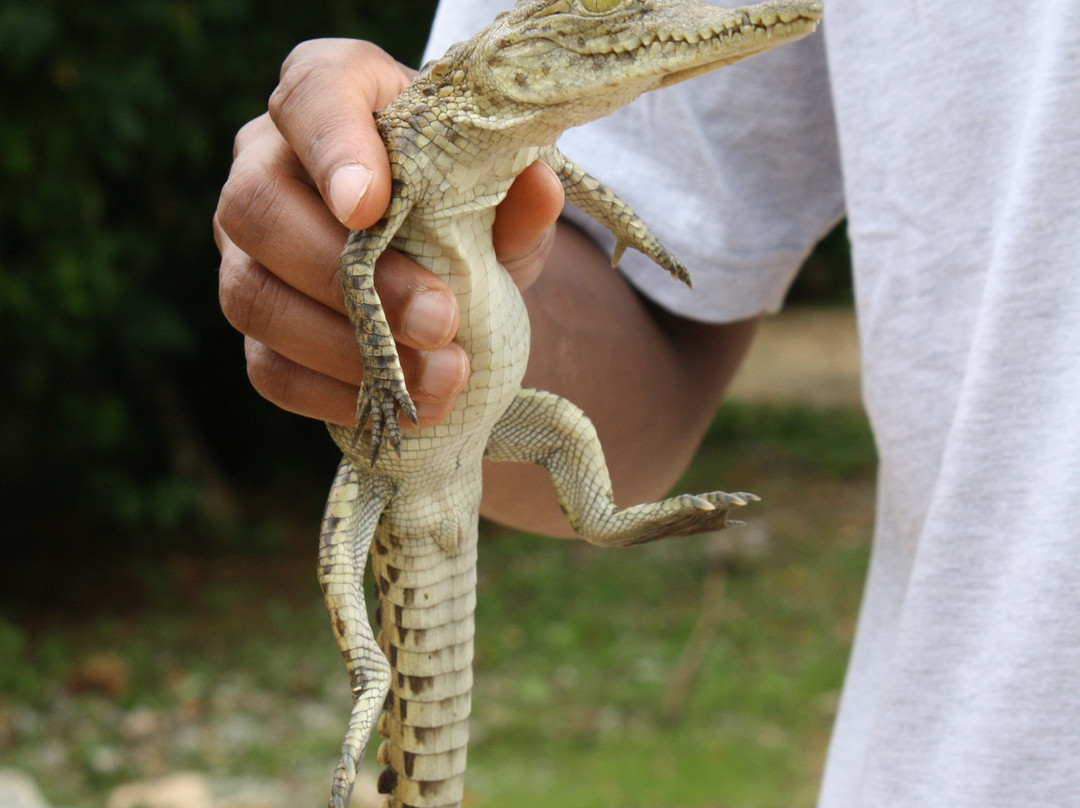 Nairobi Mamba Village-内罗毕必去景点