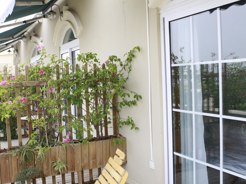 蘑菇咖啡旅馆主图