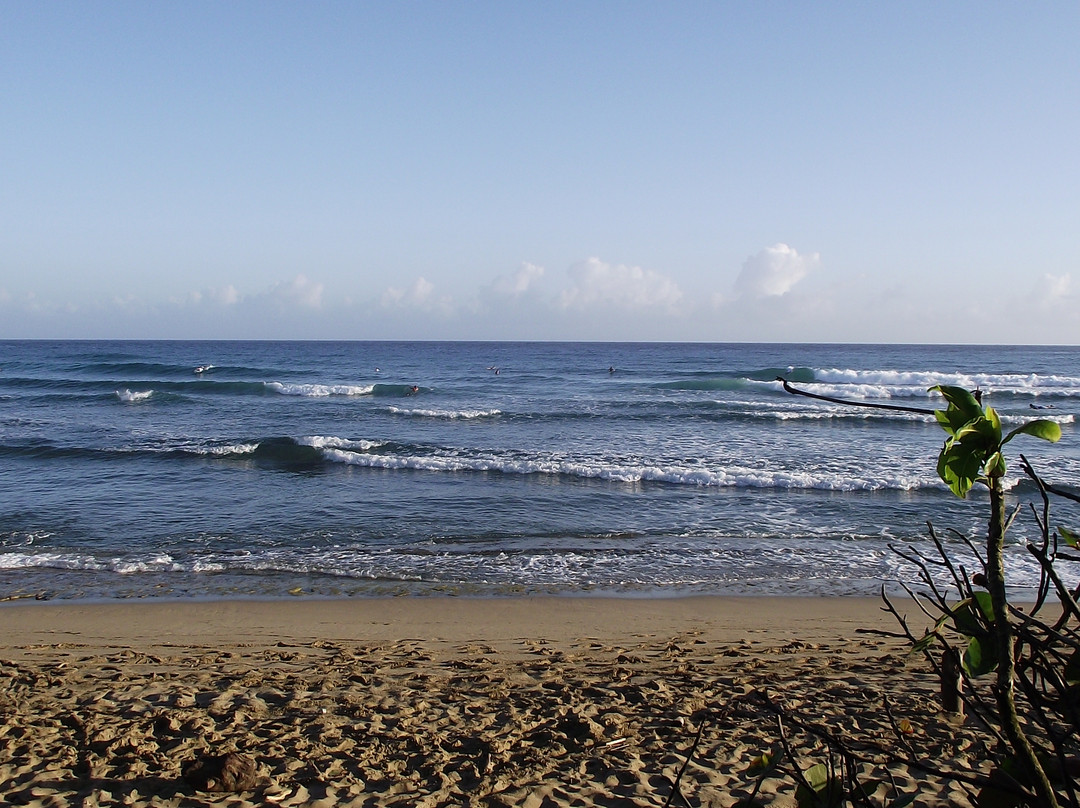 Pauhana Surf School-喀巴里特必去景点
